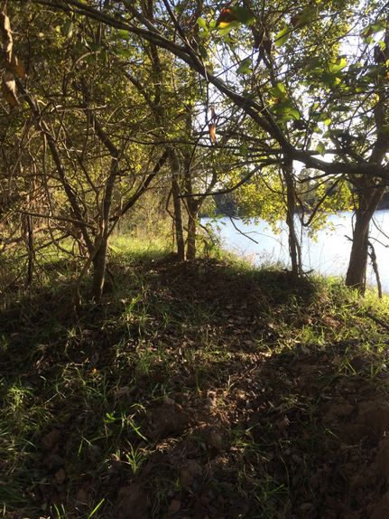 Ranch Property in Matagorda County, Texas