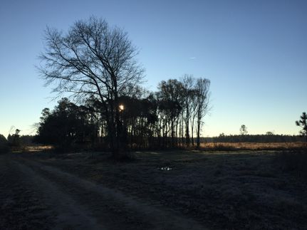 Ranch Property in Charleston County, South Carolina