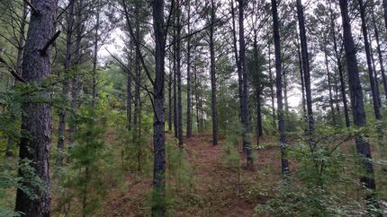 Farm Property in Walker County, Alabama