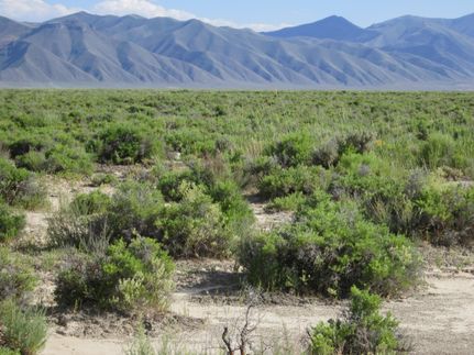 Ranch Property in Eureka County, Nevada