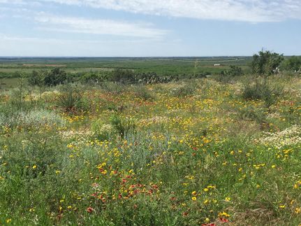 Farm Property in Fisher County, Texas