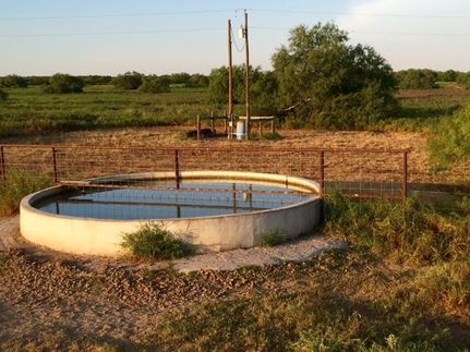 Ranch Property in Live Oak County, Texas