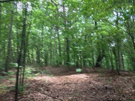 Ranch Property in Pickens County, South Carolina