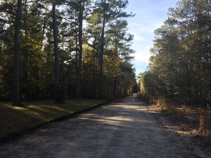 Ranch Property in Colleton County, South Carolina