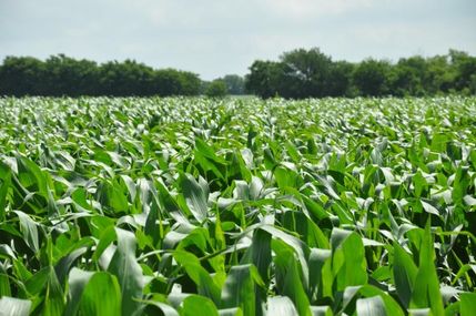 Farm Property in McLennan County, Texas