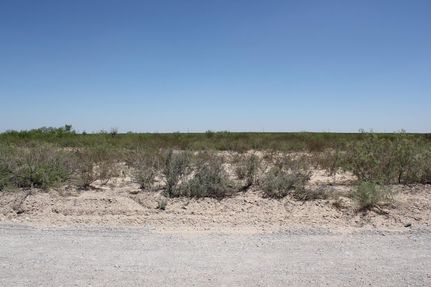 Ranch Property in Reeves County, Texas