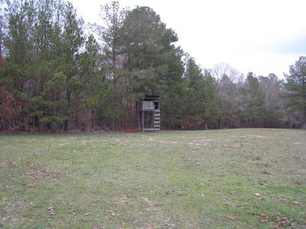 Farm Property in Henderson County, Texas