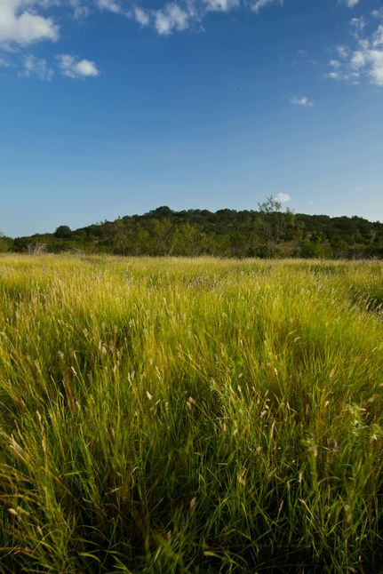 Property in Crockett County, Texas