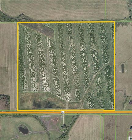 Farm Property in Okeechobee County, Florida