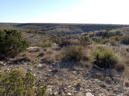Farm Property in Terrell County, Texas