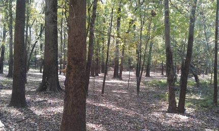 Farm Property in Bradley County, Arkansas