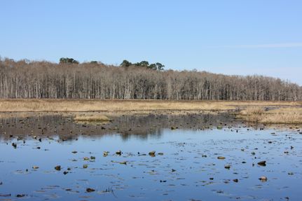 Farm Property in Jefferson County, Florida