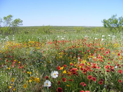 Farm Property in Kent County, Texas