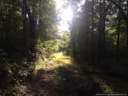 Residential Property in Leake County, Mississippi