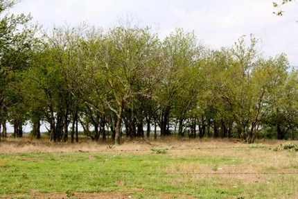 Property in Johnson County, Texas