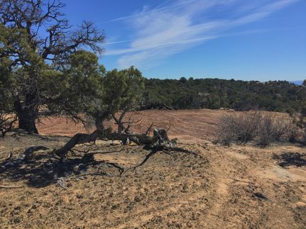 Farm Property in Duchesne County, Utah