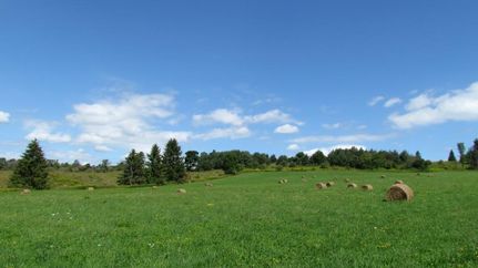 Ranch Property in Cortland County, New York