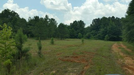 Farm Property in Pike County, Alabama