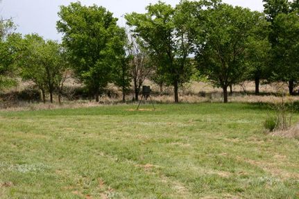 Farm Property in Collingsworth County, Texas