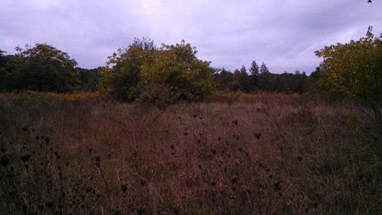 Ranch Property in Prince Edward County, Virginia