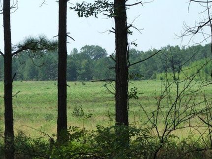 Farm Property in Jenkins County, Georgia