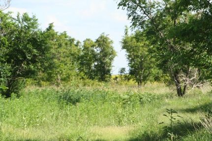 Farm Property in Hale County, Texas