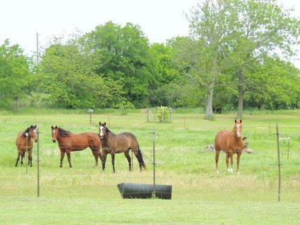 Farm Property in Murray County, Oklahoma