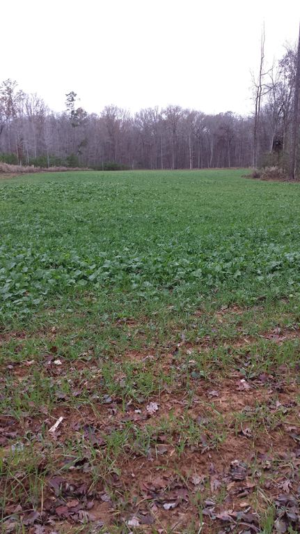 Ranch Property in Fairfield County, South Carolina