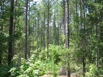 Farm Property in Greenwood County, South Carolina