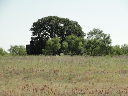 Property in Comanche County, Texas