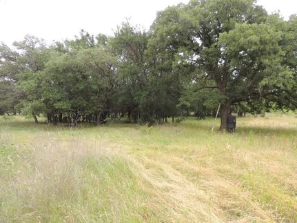 Timberland Property in Coleman County, Texas