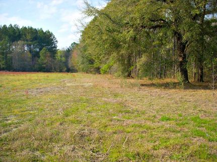 Ranch Property in Bulloch County, Georgia