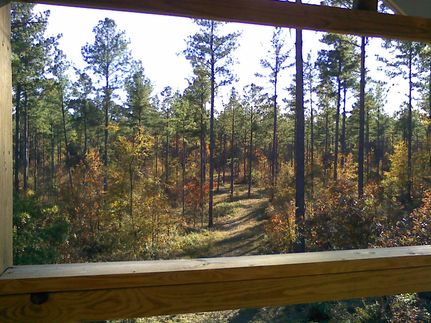 Farm Property in Greenwood County, South Carolina