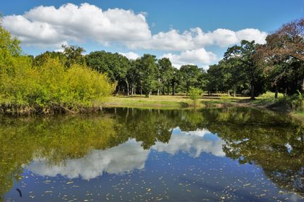 Farm Property in Milam County, Texas
