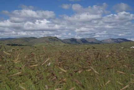 Farm Property in Grant County, New Mexico