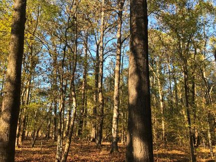 Ranch Property in Hot Spring County, Arkansas