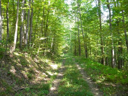 Ranch Property in Allegany County, New York