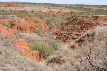 Farm Property in Collingsworth County, Texas