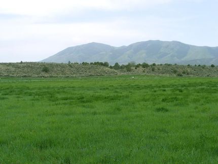 Farm Property in Tooele County, Utah