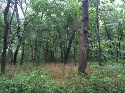 Property in Rock County, Wisconsin