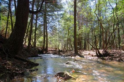 Farm Property in Sequatchie County, Tennessee