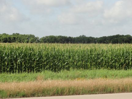 Farm Property in Limestone County, Texas