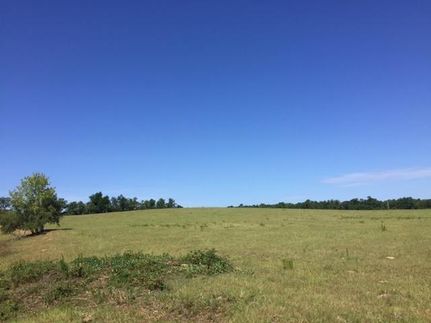 Horse Property in Washington County, Georgia