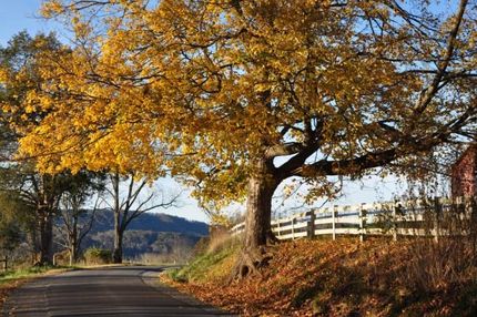 Property in Greenbrier County, West Virginia