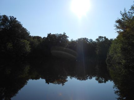 Ranch Property in Leake County, Mississippi