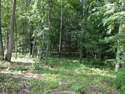 Ranch Property in Newberry County, South Carolina