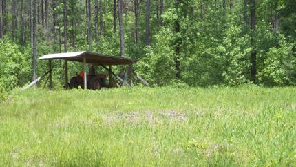 Ranch Property in Williamsburg County, South Carolina