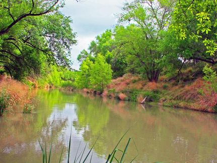 Waterfront Property in Live Oak County, Texas