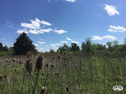 Ranch Property in Lapeer County, Michigan