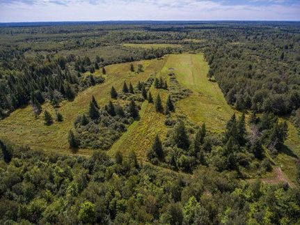 Farm Property in Price County, Wisconsin